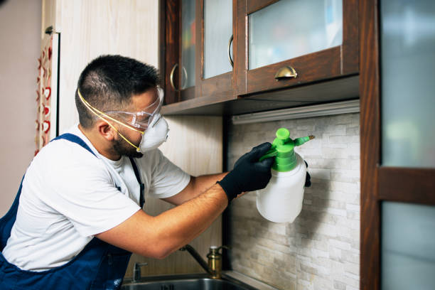 Best Emergency Pest Control  in Chalfont, PA