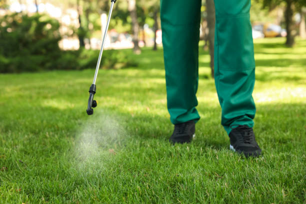 Best Best Pest Control Companies  in Chalfont, PA